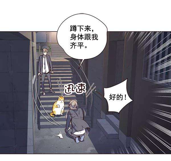 觉醒吧，铲屎官！3话