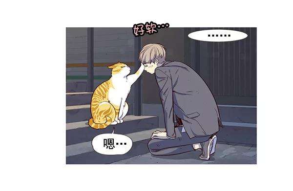 觉醒吧，铲屎官！3话