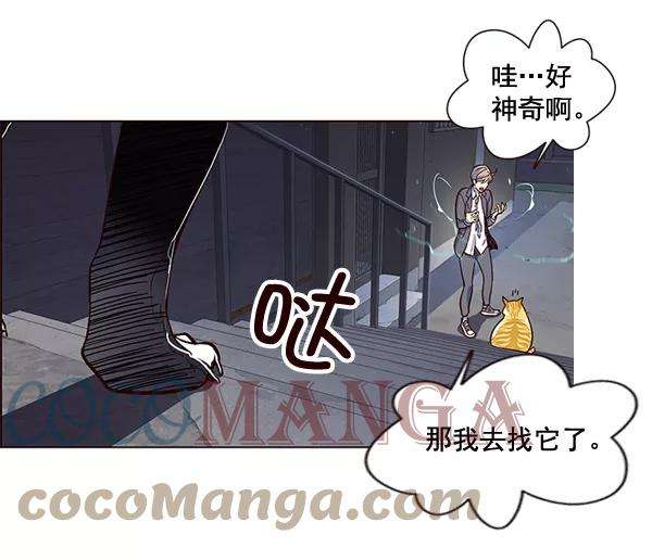 觉醒吧，铲屎官！3话