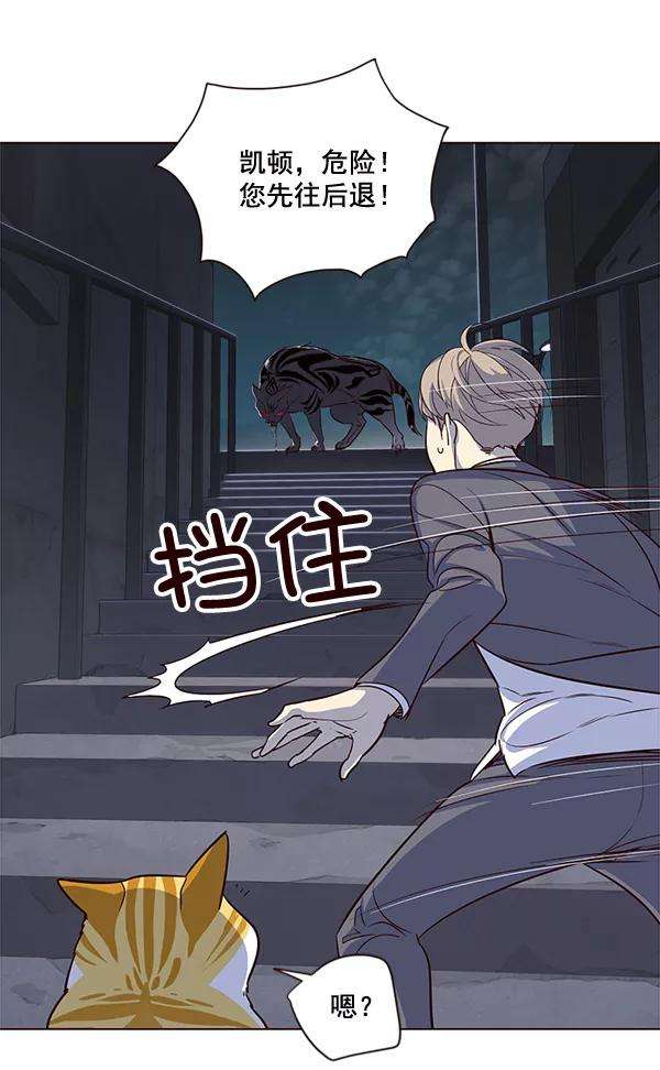 觉醒吧，铲屎官！3话