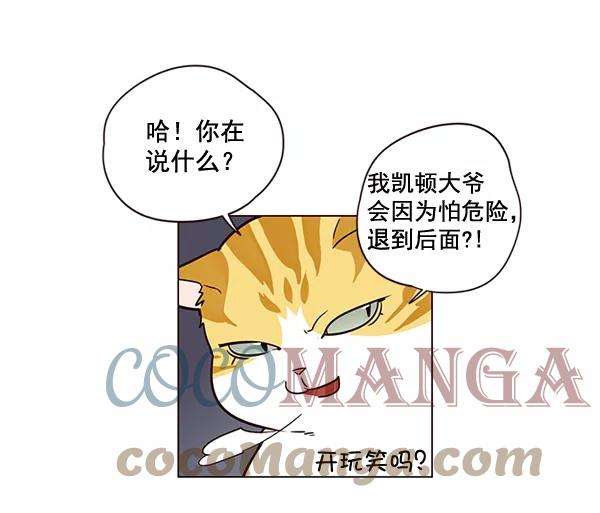 觉醒吧，铲屎官！3话