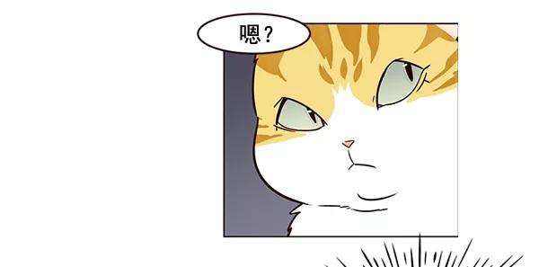 觉醒吧，铲屎官！3话