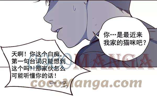 觉醒吧，铲屎官！3话