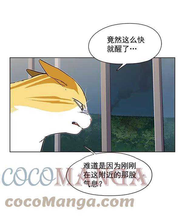 觉醒吧，铲屎官！4话