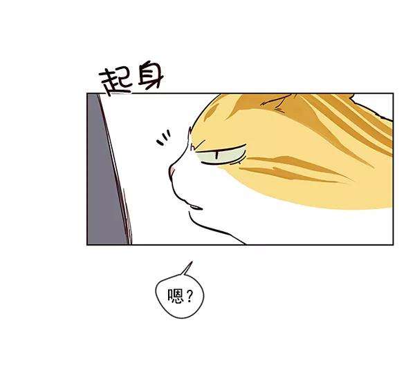 觉醒吧，铲屎官！4话