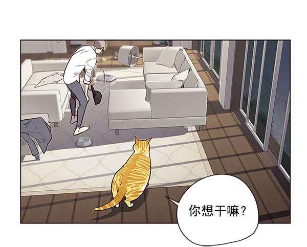 觉醒吧，铲屎官！4话