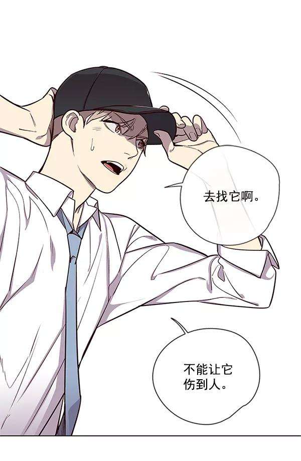 觉醒吧，铲屎官！4话