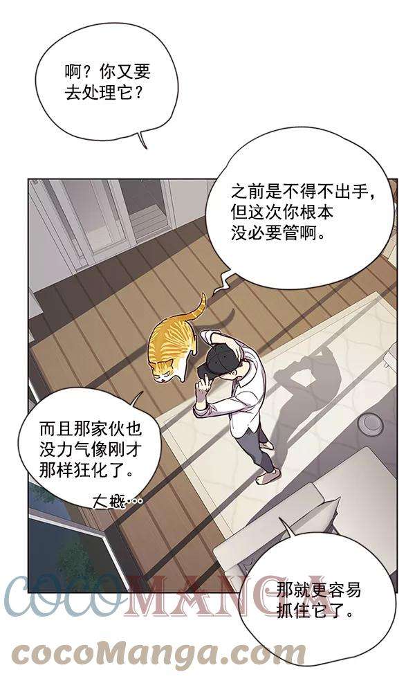 觉醒吧，铲屎官！4话