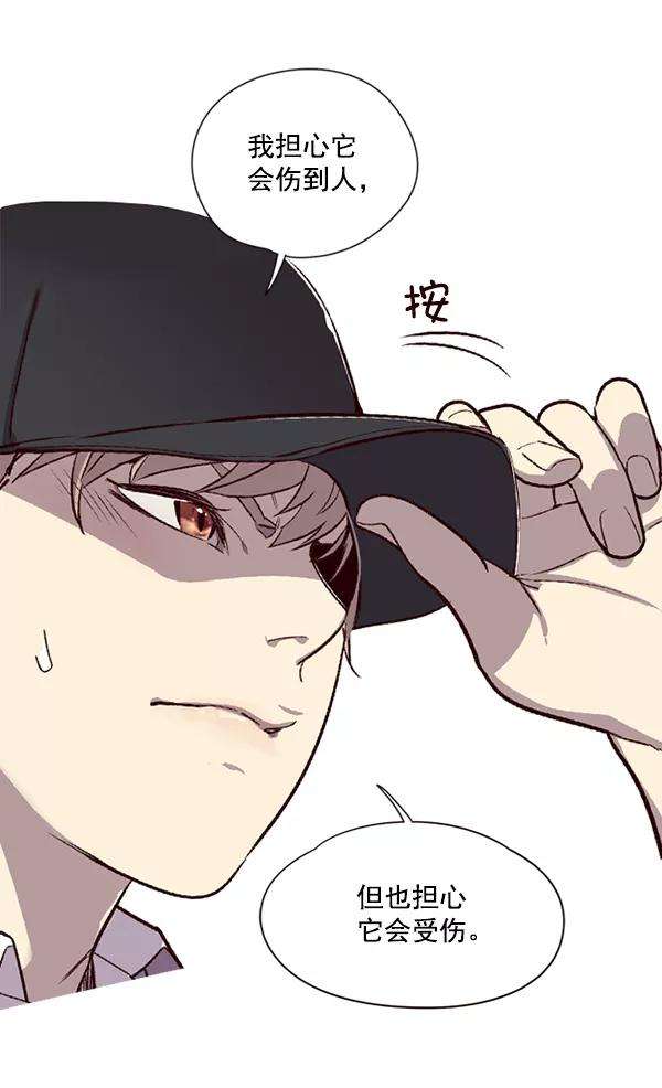 觉醒吧，铲屎官！4话