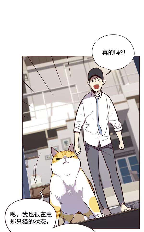 觉醒吧，铲屎官！4话