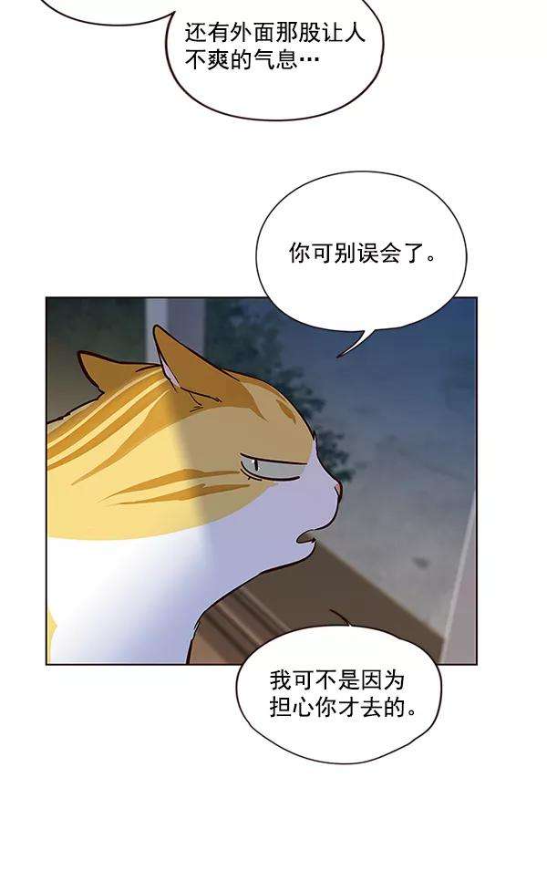 觉醒吧，铲屎官！4话