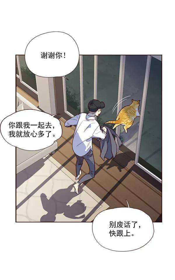 觉醒吧，铲屎官！4话