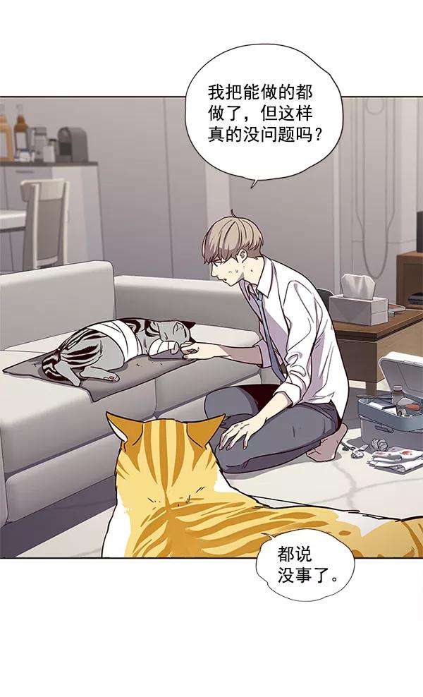 觉醒吧，铲屎官！4话