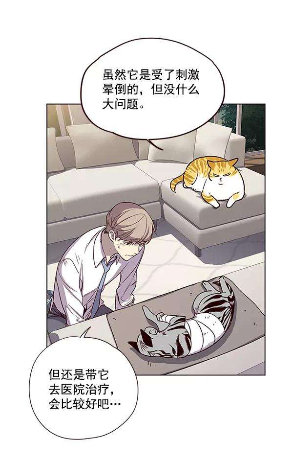 觉醒吧，铲屎官！4话
