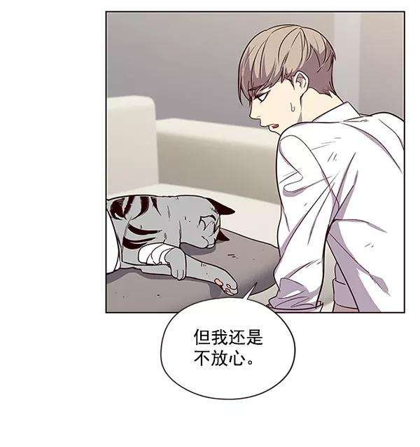 觉醒吧，铲屎官！4话