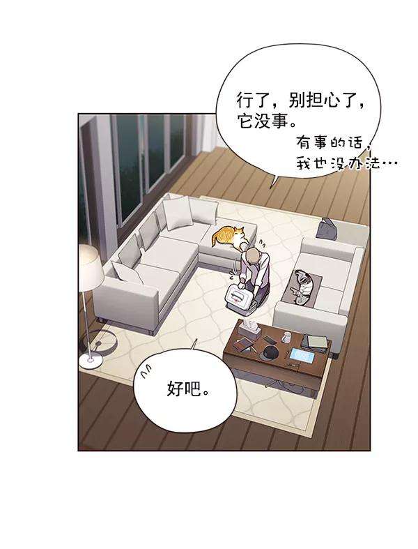 觉醒吧，铲屎官！4话