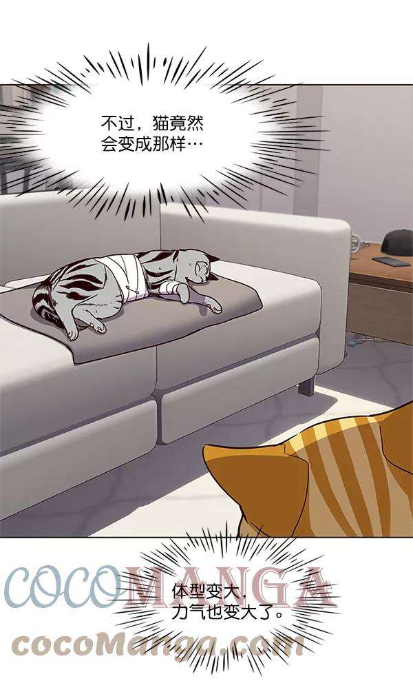 觉醒吧，铲屎官！4话