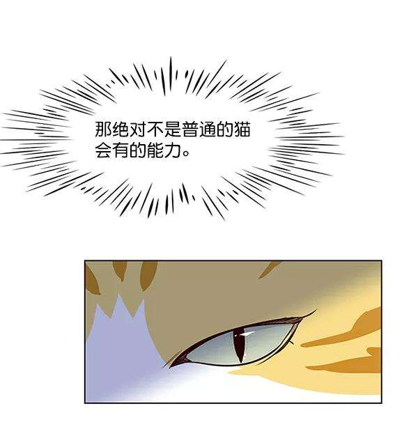 觉醒吧，铲屎官！4话
