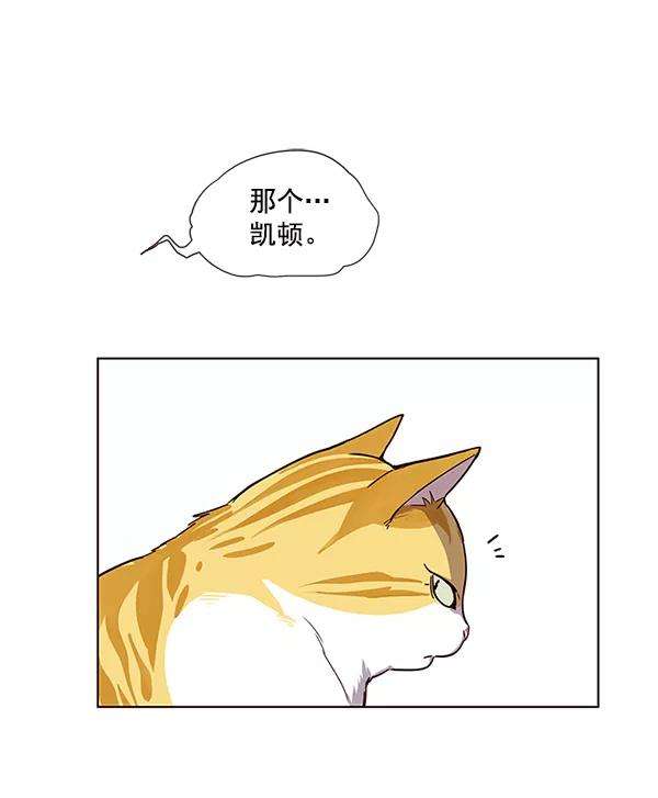 觉醒吧，铲屎官！4话