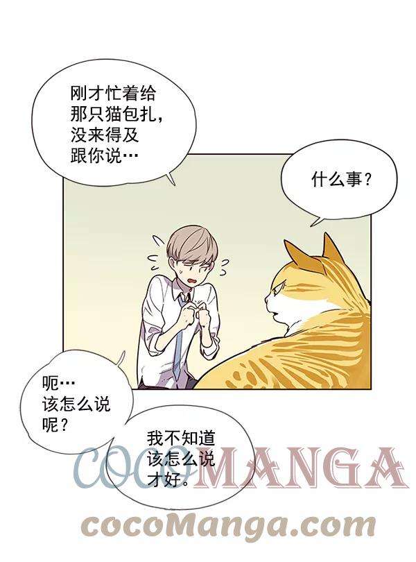 觉醒吧，铲屎官！4话