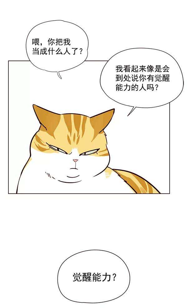 觉醒吧，铲屎官！4话