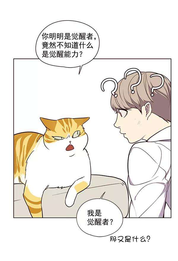 觉醒吧，铲屎官！4话