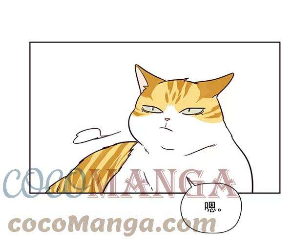 觉醒吧，铲屎官！4话