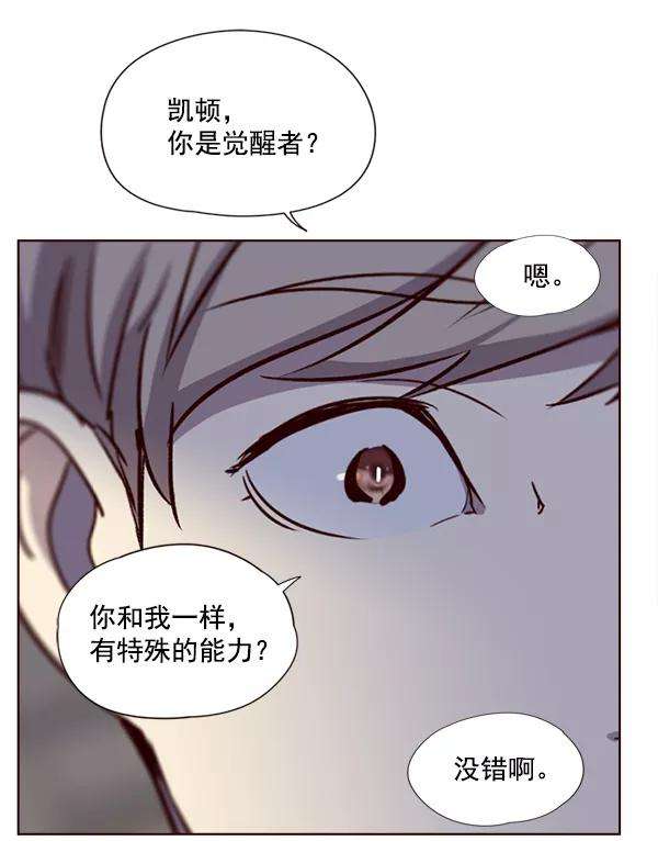 觉醒吧，铲屎官！4话