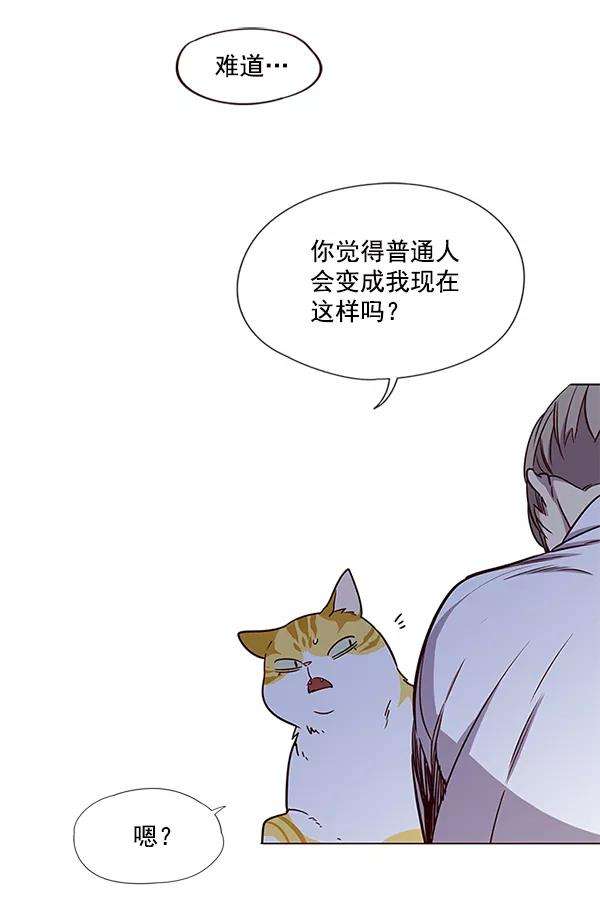 觉醒吧，铲屎官！4话