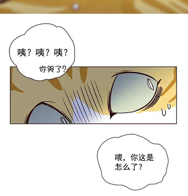 觉醒吧，铲屎官！4话
