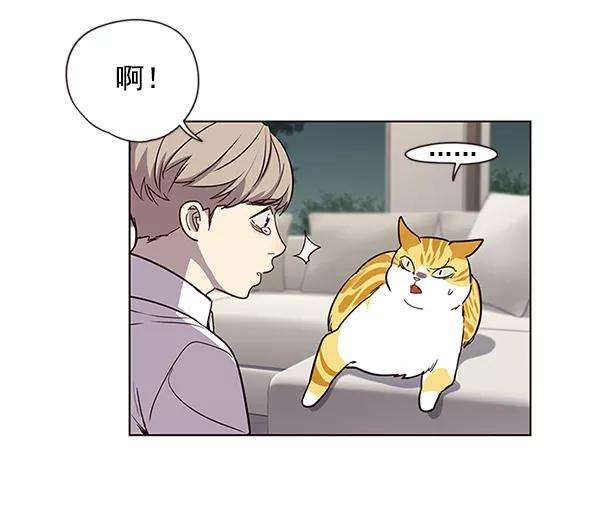 觉醒吧，铲屎官！4话