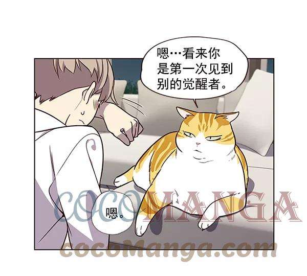 觉醒吧，铲屎官！4话
