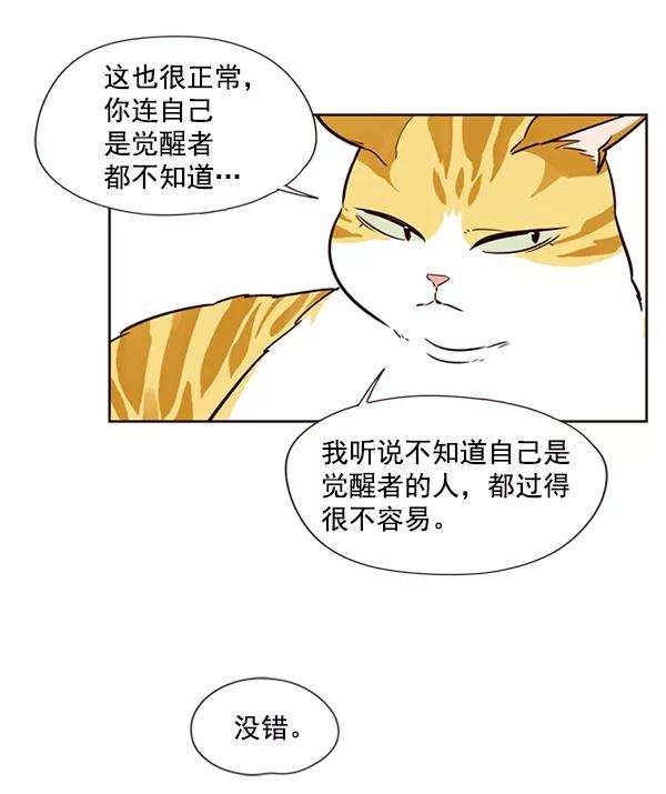 觉醒吧，铲屎官！4话