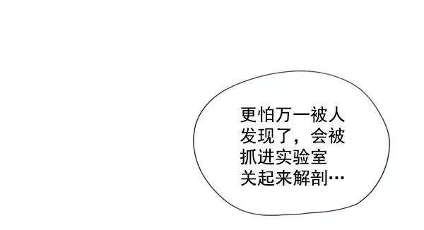 觉醒吧，铲屎官！4话