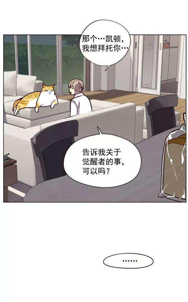 觉醒吧，铲屎官！4话