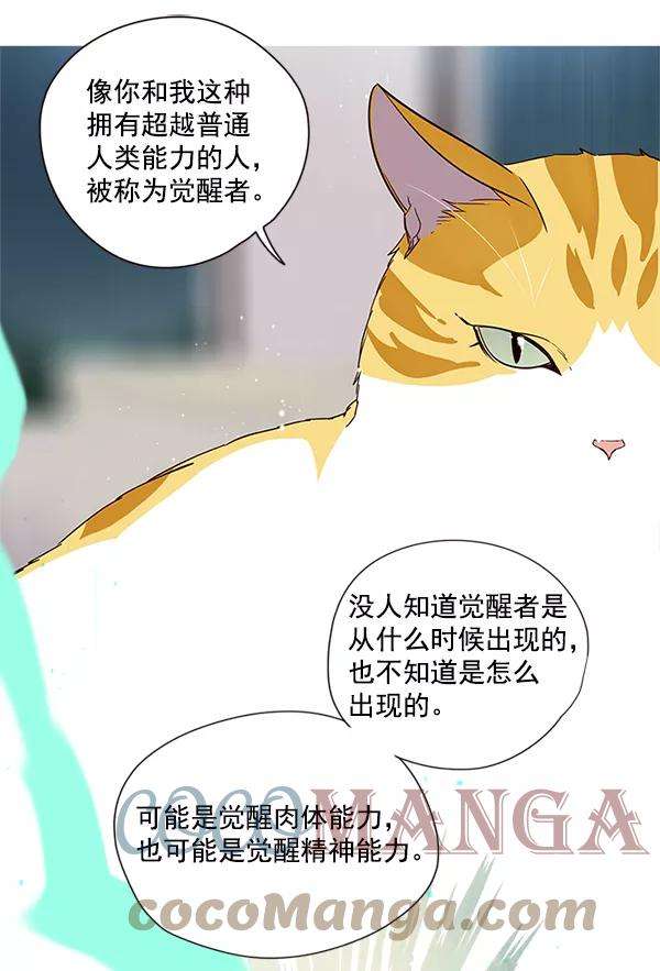 觉醒吧，铲屎官！4话