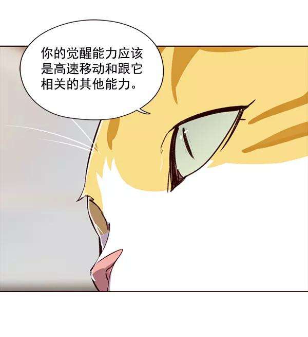 觉醒吧，铲屎官！4话
