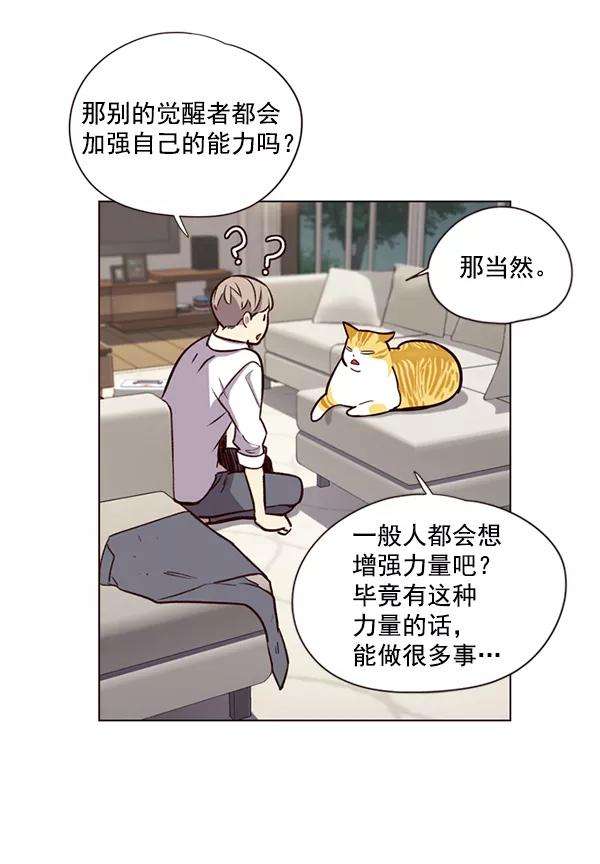 觉醒吧，铲屎官！4话