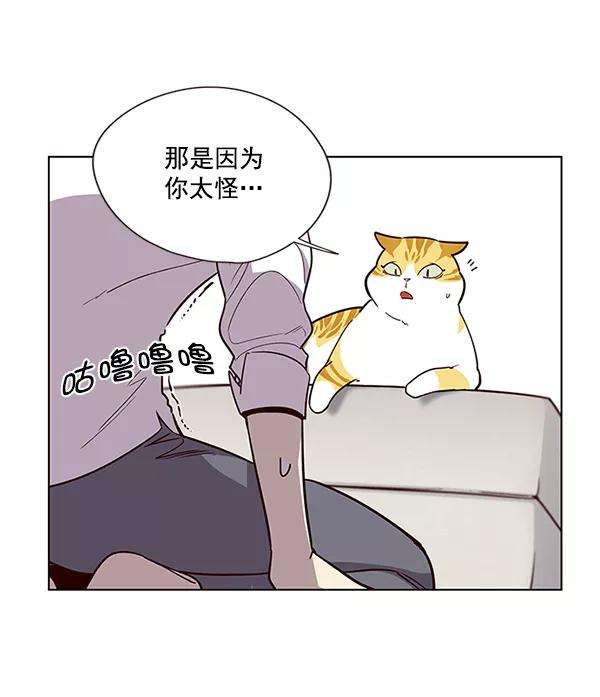 觉醒吧，铲屎官！4话