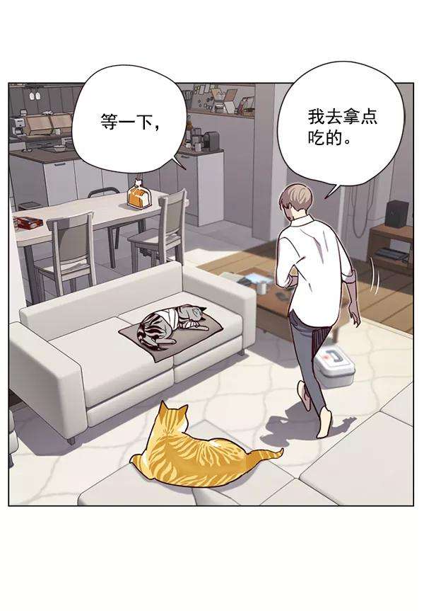 觉醒吧，铲屎官！4话