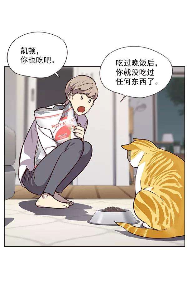 觉醒吧，铲屎官！4话