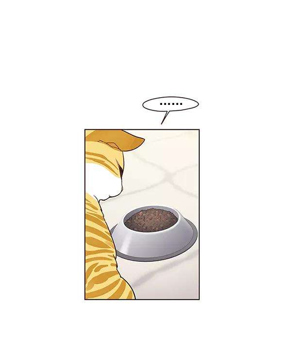 觉醒吧，铲屎官！4话