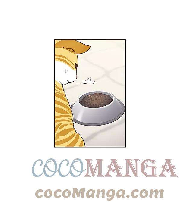 觉醒吧，铲屎官！4话
