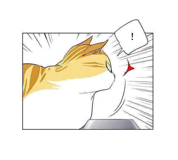 觉醒吧，铲屎官！4话