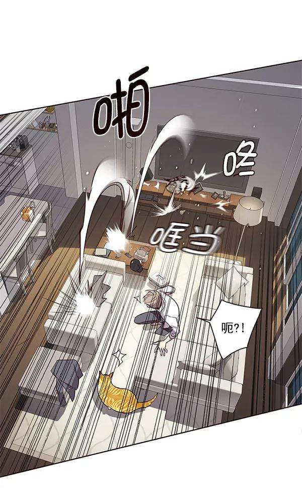 觉醒吧，铲屎官！4话