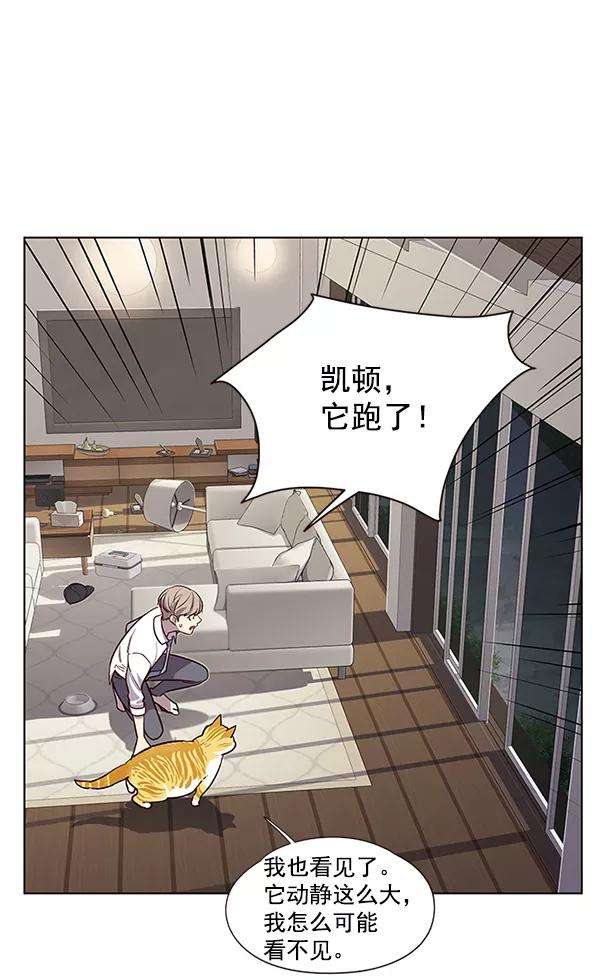觉醒吧，铲屎官！4话