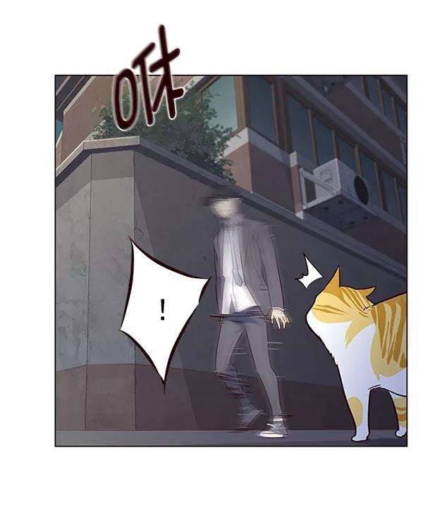 觉醒吧，铲屎官！5话
