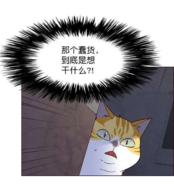 觉醒吧，铲屎官！5话