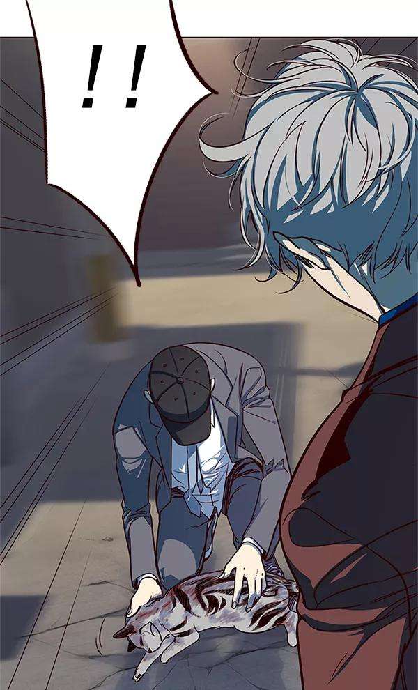 觉醒吧，铲屎官！5话