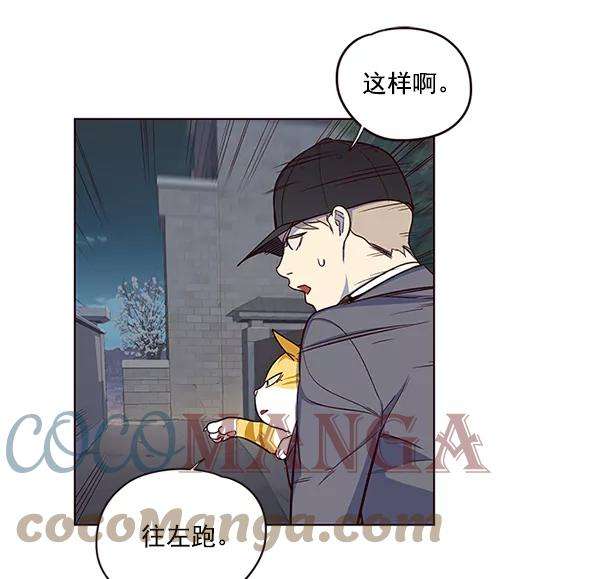 觉醒吧，铲屎官！5话